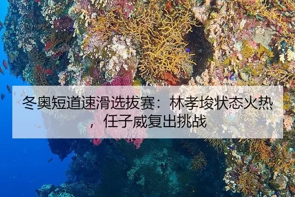 dong-ao-duan-dao-su-hua-xuan-ba-sai-lin-xiao-jun-zhuang-tai-huo-re-ren-zi-wei-fu-chu-tiao-zhan-3-922.jpg