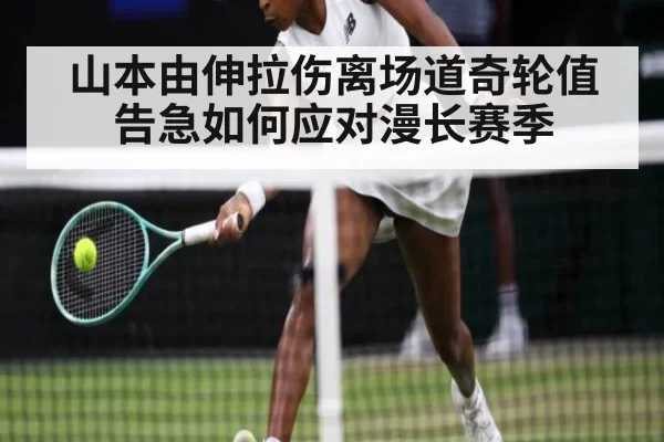山本由伸拉伤离场道奇轮值告急如何应对漫长赛季